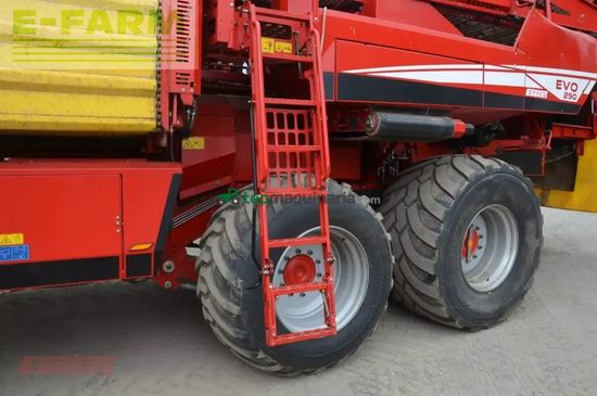 Cosechadora - arrancadora de patata - Grimme - evo 290 clodsep