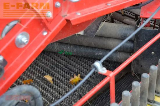 Cosechadora - arrancadora de patata - Grimme - se 260 ub