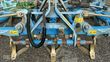 Cultivador - Lemken - kristall 9/500 ku