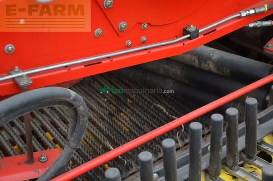 Cosechadora - arrancadora de patata - Grimme - evo 290 clodsep