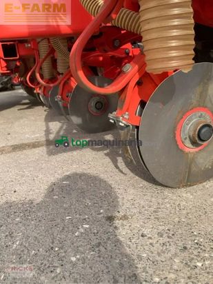 Sembradora monograno mecanica - Maschio - manta 8-reihig