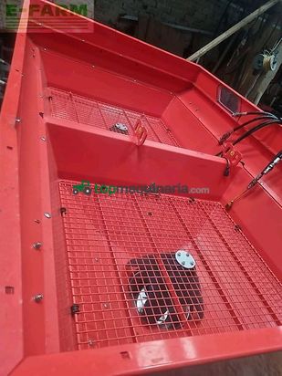 Esparcidor - Maschio - primo m 213