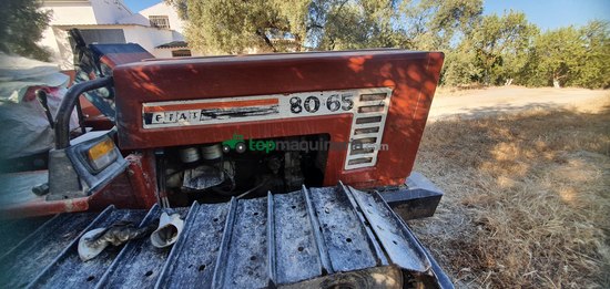 Tractor cadena - Fiat / Fiatagri - 80-65