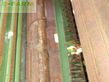 Empacadora gigant - Krone - vario pack 1800 mc