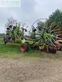 Henificador - Claas - liner 4800 business pro