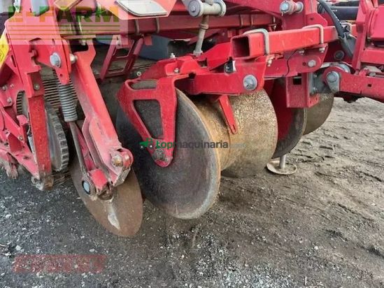 Cosechadora - arrancadora de patata - Grimme - evo 280 clodsep 17