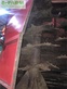Esparcidor -  - bunning lowlander 150 hd