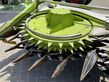 Cabezal - Claas - orbis 900 3t