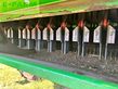 Cosechadora de Cereal - John Deere - s780i raupe, prodrive