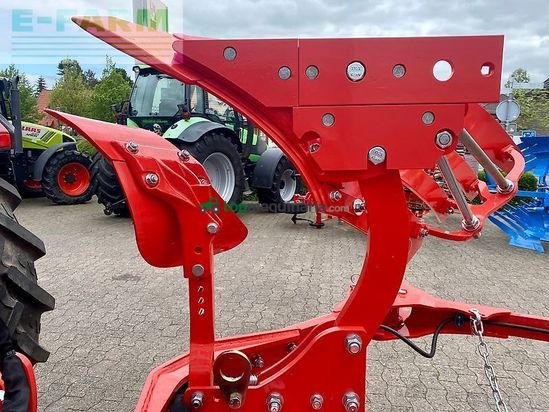 Arado - Maschio - unico m passo 4+