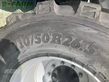 Cinta transportadora de forraje - Fliegl - gigant asw 391 taurus fox