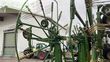 Rastrillo - Krone - swadro 1400 plus