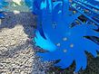 Cultivador - Lemken - karat 10