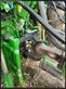 Atomizador - Amazone - ux5200