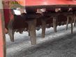 Grada rotativa - Maschio - dc 3000 drago
