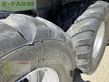 Cinta transportadora de forraje - Fliegl - asw 391 taurus fox tridem