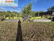 Cortacésped manual - Claas - disco 9300 direct swather