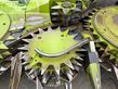 Cabezal - Claas - orbis 750 transportsystem
