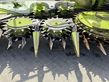 Cabezal - Claas - orbis 900 3t