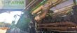 Cosechadora de Cereal - John Deere - 9800