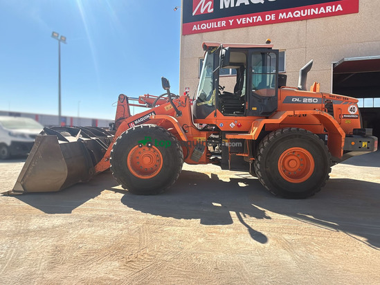 Palas cargadora DOOSAN DL250-3