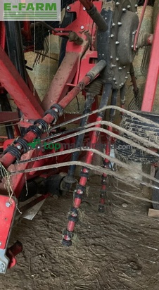 Rastrillo - Lely - hibiscus