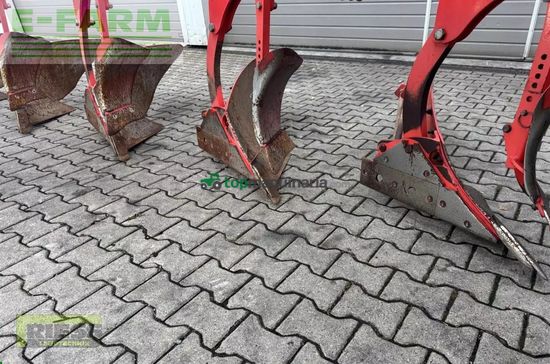 Arado - Maschio - unico l5 +vario nsh