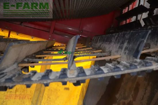 Cosechadora - arrancadora de patata - Grimme - se 260 ub