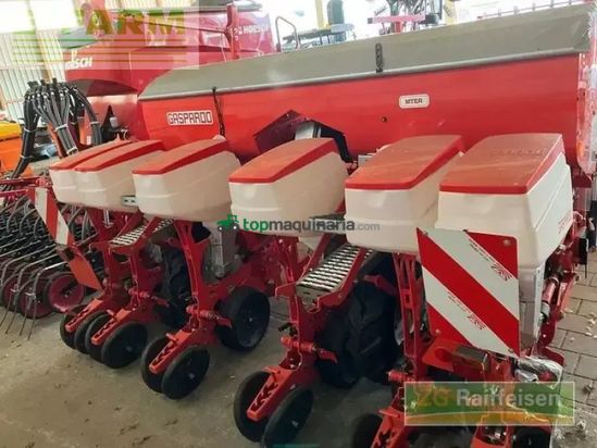 Sembradora monograno mecanica - Maschio - mte-r 300 6-reihig bb-