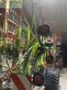 Rastrillo - Claas - liner 4800 business pro