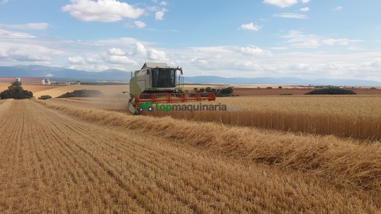Cosechadora de Cereal - Claas - tucano 340