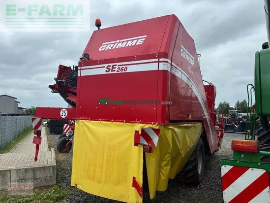 Cosechadora - arrancadora de patata - Grimme - se 260 ub