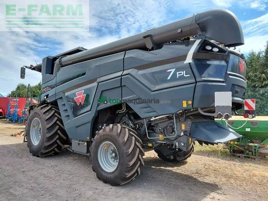 Cosechadora de Cereal - Massey Ferguson - ideal 7 pl sans coupe