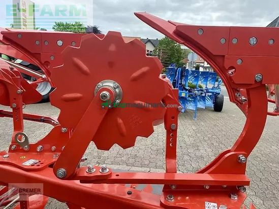 Arado - Maschio - unico m passo 4+