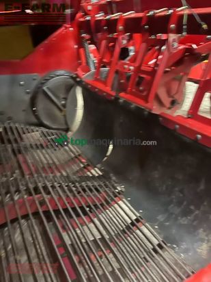 Cosechadora - arrancadora de patata - Grimme - evo 290 clodsep