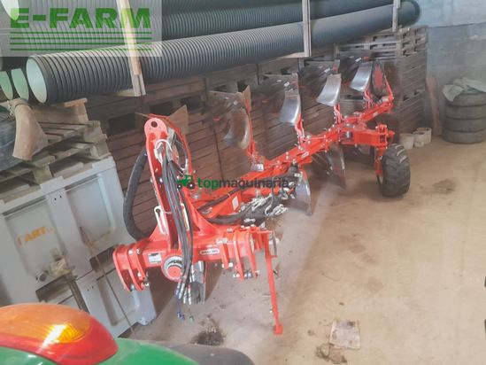 Arado - Maschio - unico m passo 4