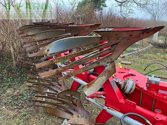 Arado - Overum - agrolux xrwt 5980 as