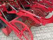 Cosechadora - arrancadora de patata - Grimme - gl 34 t