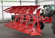 Arado - Maschio - unico m passo 4+ non stop