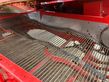 Cosechadora - arrancadora de patata - Grimme - se 260 ub