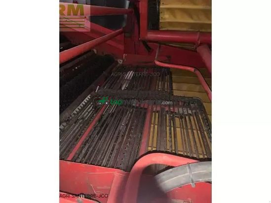 Cosechadora - arrancadora de patata - Grimme - gz 1700 dls