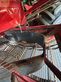 Cosechadora de Cereal - Grimme - rexor 6300 pl