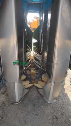 Vendimiadora - Braud - SB 58