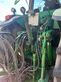 Tractor agrícola - John Deere - 7820 allrad traktor