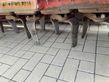 Grada rotativa - Kuhn - hr 3001 m