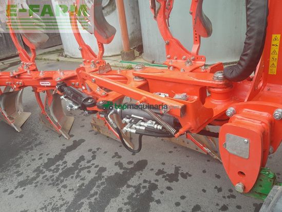 Arado - Maschio - unico m passo 4