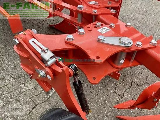 Arado - Maschio - unico m passo 4+