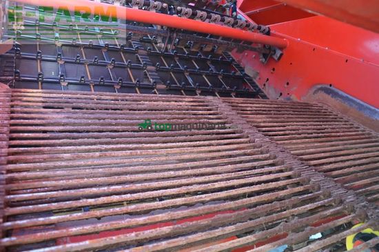 Cosechadora - arrancadora de patata - Grimme - evo 290 easysep