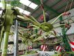 Henificador - Claas - volto 1050 t