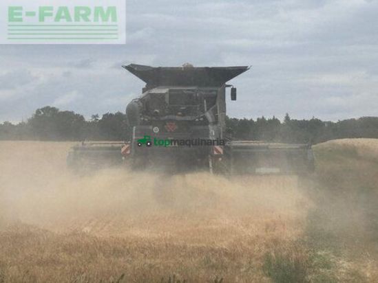 Cosechadora de Cereal - Massey Ferguson - ideal 8 pl